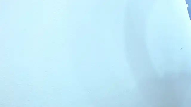 sebastian colle online show from 02/26/25, 12:03