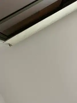 tu-bebitaa online show from 03/12/25, 07:02