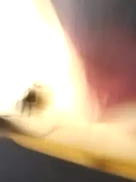 EmCyrex online show from 03/26/26, 11:49