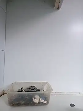 xxTatiannaxx online show from 02/28/25, 12:09