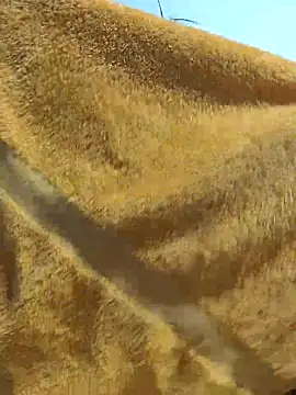 Tocameamor online show from 02/21/26, 09:05