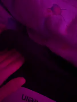 mario 6 9 9 0 online show from 03/07/25, 08:55