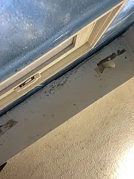 YODAPESOS online show from 02/23/26, 12:57