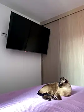 AshleyG 222 online show from 12/17/25, 04:46