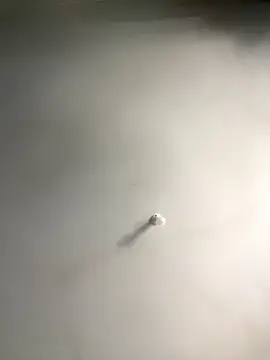 Snapshot of 1Zoey101 chatting on 12/18/25, 06:19 1Zoey101 online show from 12/18/25, 06:19