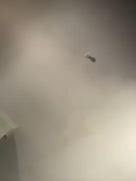 Snapshot of 1Zoey101 chatting on 02/02/26, 01:37 1Zoey101 online show from 02/02/26, 01:37