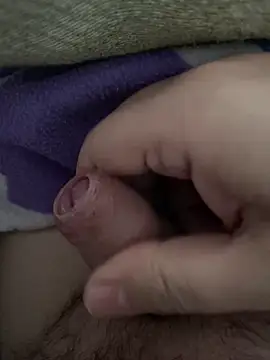 littletoy64 online show from 02/07/26, 08:07