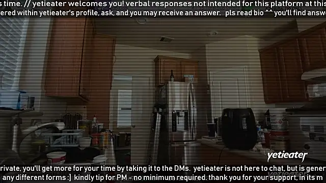 Snapshot of yetieater chatting on 07/24/26, 02:37 yetieater online show from 07/24/26, 02:37