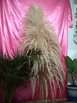 John los666 hot online show from 04/11/26, 07:45