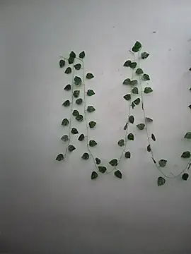 Neha-Bhabhi-Rasily online show from 12/17/25, 07:47