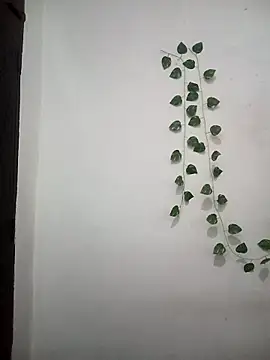 Neha-Bhabhi-Rasily online show from 03/25/26, 05:24