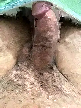 Iliase online show from 11/15/25, 09:17