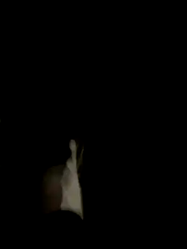 Snapshot of Dasul_ chatting on 10/11/25, 07:07 Dasul online show from 10/11/25, 07:07