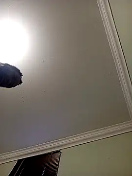 Latte1204 online show from 04/22/26, 05:21