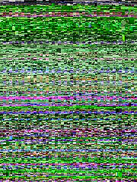 RightFielder online show from 11/25/25, 03:01