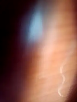 gordiricosv online show from 02/14/26, 09:44