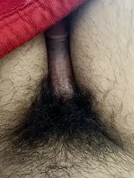 Jaipuri Boy online show from 03/08/25, 01:39