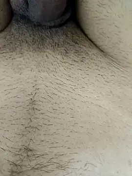 Jaipuri Boy online show from 03/17/25, 04:40