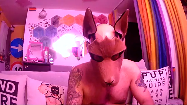 Snapshot of danix_wild_wolf chatting on 05/31/26, 11:06 danix wild wolf online show from 05/31/26, 11:06