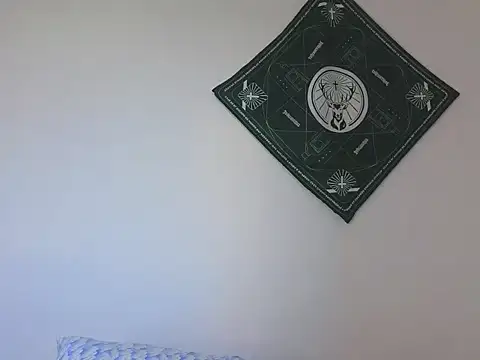 Snapshot of samevansx_ chatting on 12/13/25, 07:53 samevansx online show from 12/13/25, 07:53