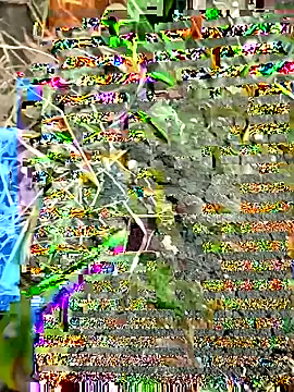 himvilohi08 online show from 09/27/25, 12:32