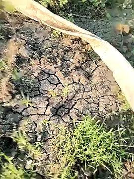 himvilohi08 online show from 03/21/26, 12:32