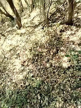 himvilohi08 online show from 03/22/26, 07:12