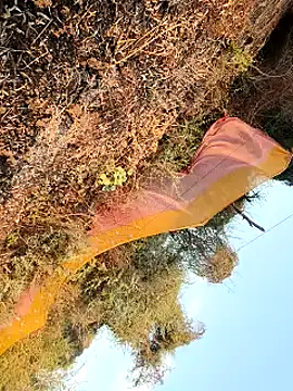 himvilohi08 online show from 03/25/26, 12:44