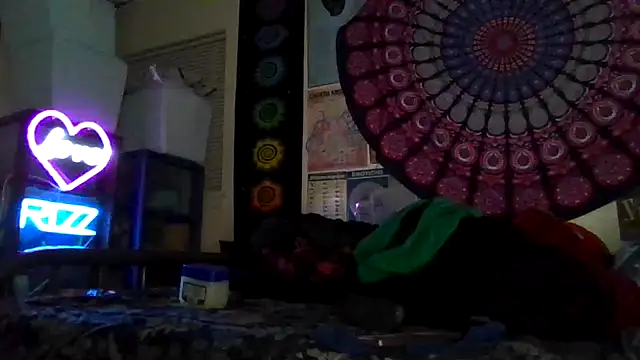 GardeniaFields online show from 03/04/26, 10:10