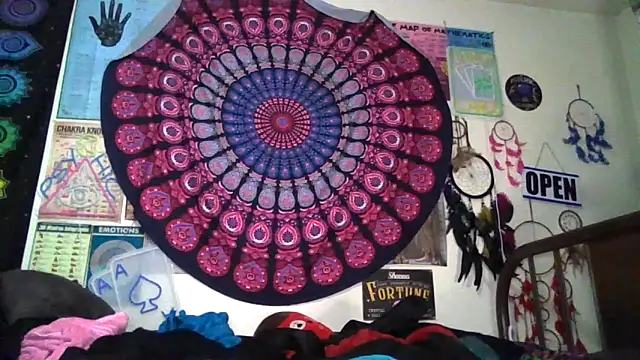 GardeniaFields online show from 04/12/26, 11:43