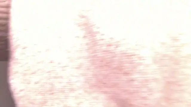 MiraBliss online show from 02/22/26, 10:19