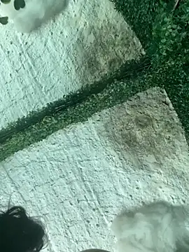 val zx online show from 03/22/26, 06:44