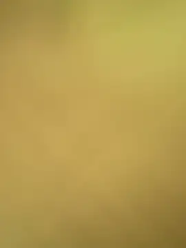 val zx online show from 04/24/26, 01:57