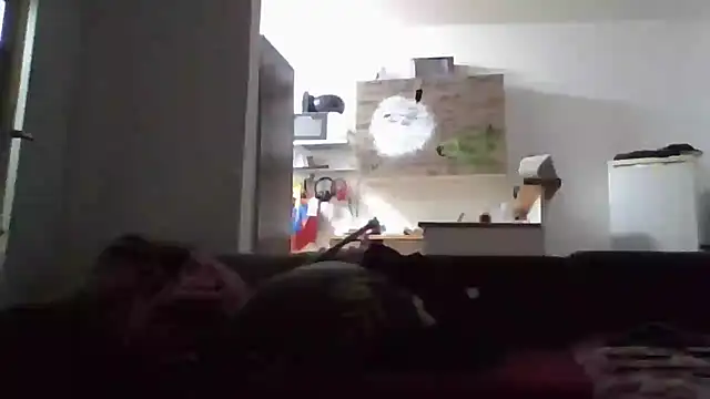 Snapshot of ThePython666 chatting on 11/17/25, 05:08 ThePython666 online show from 11/17/25, 05:08