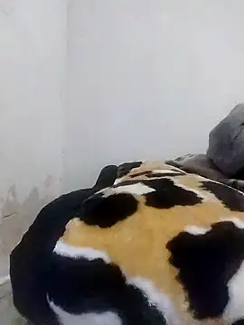 Snapshot of CertifiedSatisfier chatting on 10/29/25, 01:46 CertifiedSatisfier online show from 10/29/25, 01:46