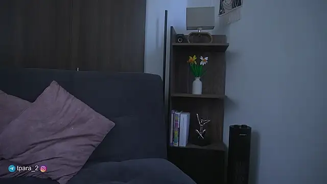 Snapshot of Te_para_2 chatting on 05/01/26, 04:33 Te para 2 online show from 05/01/26, 04:33