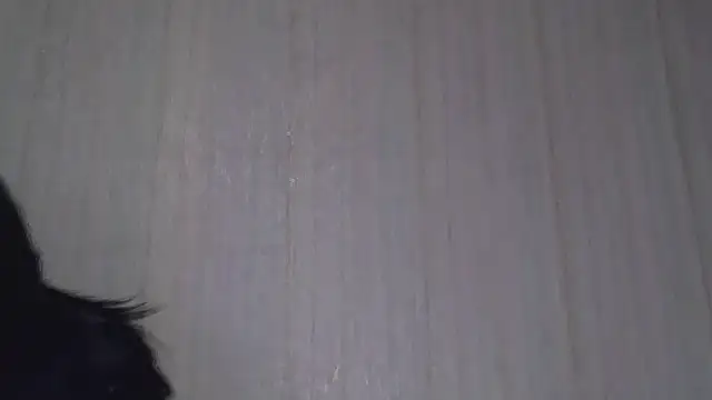  Black-Panther  online show from 10/20/25, 08:26