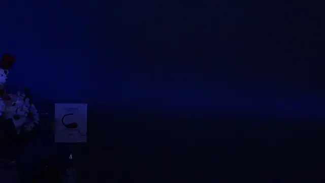 Amesthyst destiny online show from 03/22/25, 03:20