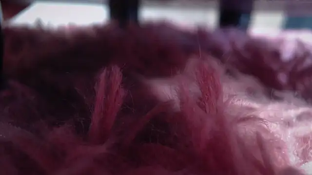 Taylor dolll online show from 10/01/25, 02:12