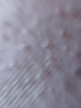 So8nan online show from 09/21/25, 01:02