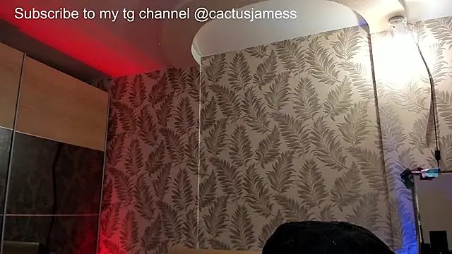 Snapshot of Cactus__James chatting on 10/02/25, 12:28 Cactus  James online show from 10/02/25, 12:28