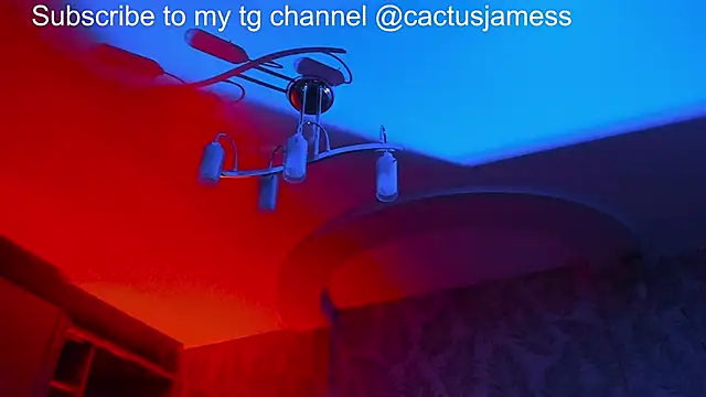 Snapshot of Cactus__James chatting on 11/21/25, 11:58 Cactus James online show from 11/21/25, 11:58