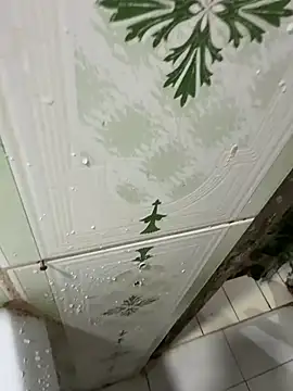 dilu98 online show from 12/18/25, 01:22