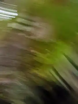 Pichoneterno online show from 03/08/26, 12:09