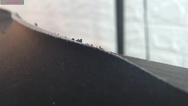 nei girl online show from 11/30/25, 11:47