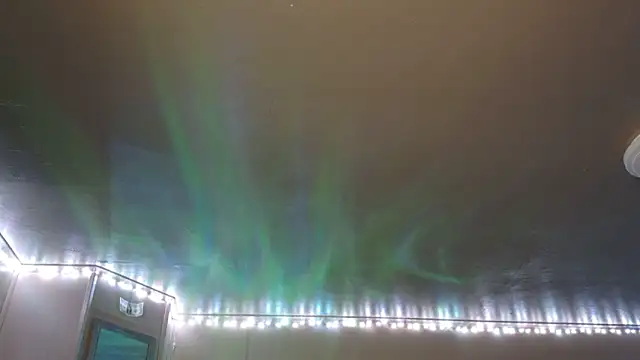 mavismable online show from 02/03/26, 06:22