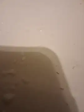 Snapshot of moasslicker chatting on 10/21/25, 04:46 moasslicker online show from 10/21/25, 04:46