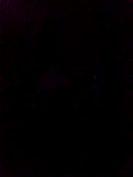 WALESKABBW ASS online show from 04/24/26, 11:23