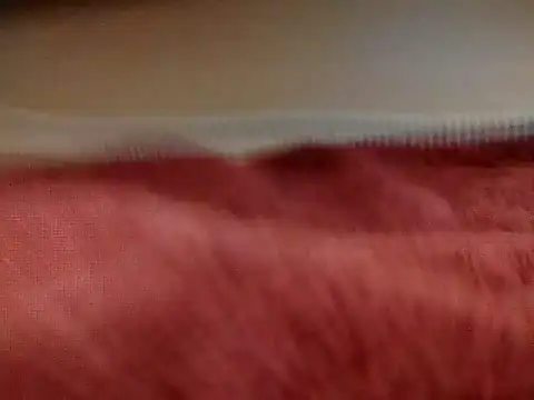 sexiebabi online show from 03/16/26, 02:21