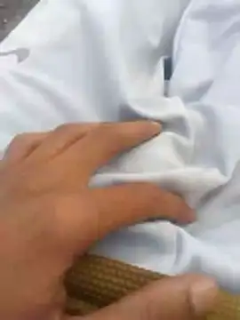 tiibcstuj online show from 02/14/26, 12:13